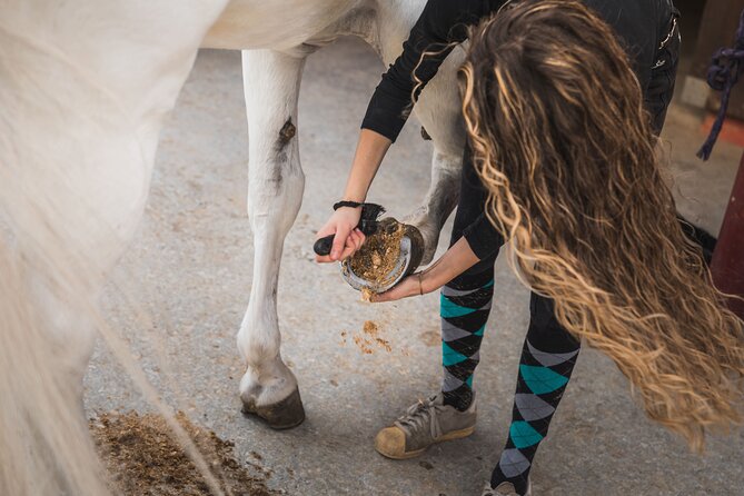 Guided tour of the stables of El Ranchito in Malaga - Animal Welfare Concerns: A Real Consideration Before You Book