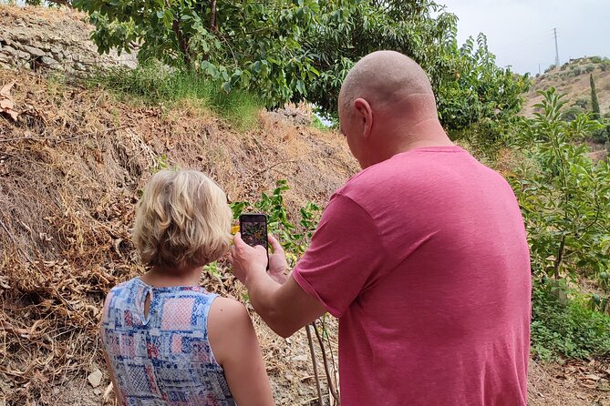 Guided Tour to the only coffee farm in Europe - Price and Value: Why $18.15 Can Feel Like a Deal