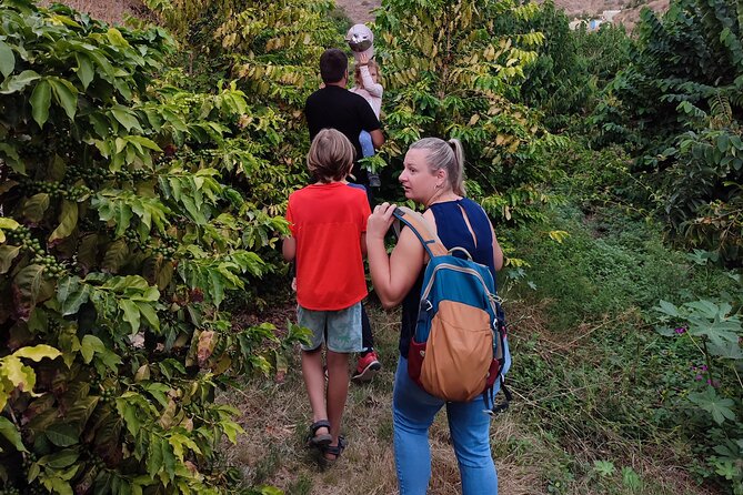 Guided Tour to the only coffee farm in Europe - Getting There and Getting Back: Don’t Trust Uber