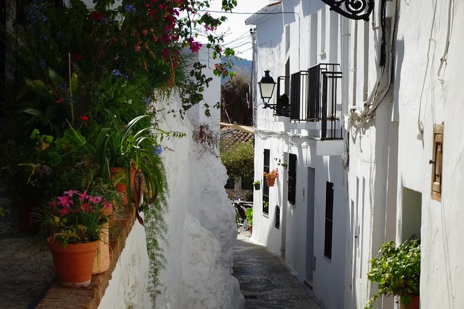 Guided Walking Tour of the Old Town of Frigiliana - Stop 1: The cane honey factory in a 16th-century building