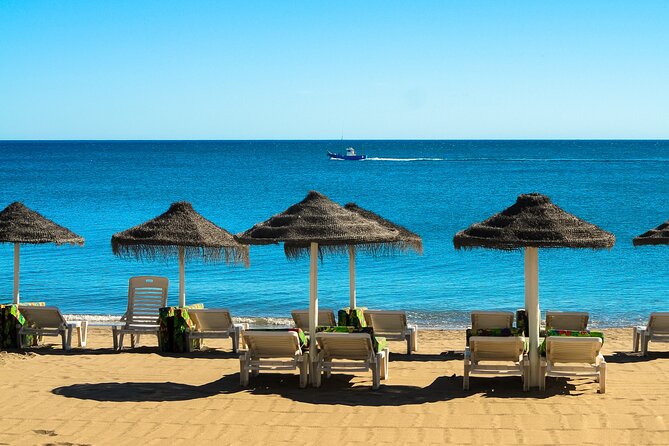 Half-Day Private Taxi Tour to Malaga Historic Center - Price and value: what $163.76 per group really buys you
