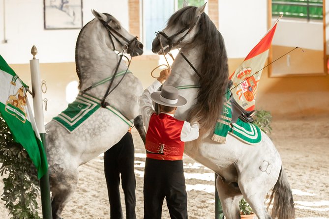 Horse and Flamenco Show in Malaga - Ritmo a Caballo at Club Hípico El Ranchito: the big idea in Malaga