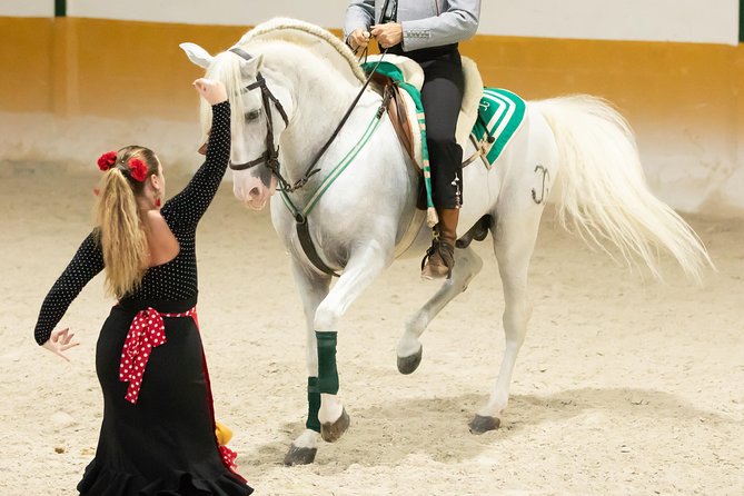 Horse and Flamenco Show in Malaga - The flamenco factor: why it works, when it may not