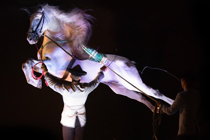 Horse and Flamenco Show in Malaga - When to go and what to wear: heat, comfort, and the arena reality