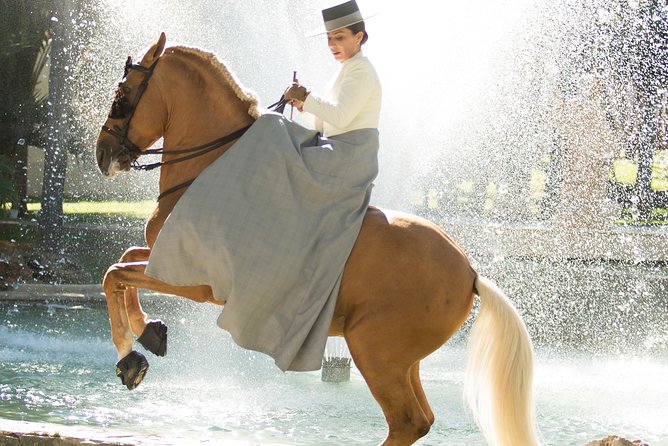 Horse and Flamenco Show in Malaga - Horse welfare concerns: the question you should ask yourself