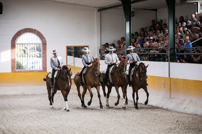 Horse and Flamenco Show in Malaga with Dinner - A horse-and-flamenco night built around real Andalusian rhythm
