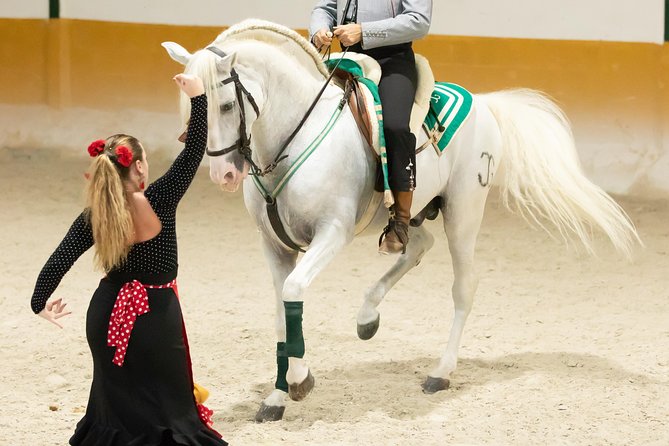 Horse and Flamenco Show in Malaga with Dinner - José Lucena’s flamenco show: 50 minutes that don’t waste your time