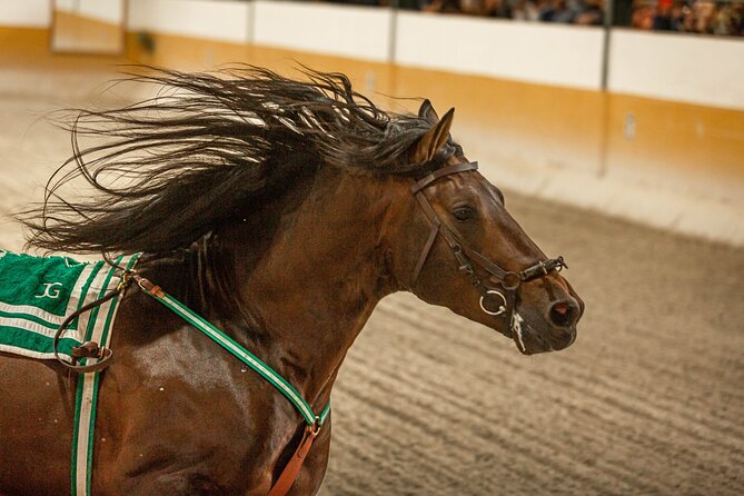 Horse and Flamenco Show in Malaga with Dinner - Price and value: $86.57 for a full evening package