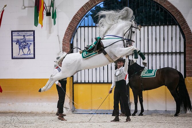 Horse and Flamenco Show in Malaga with Dinner - Who should book this Malaga horse-and-flamenco night