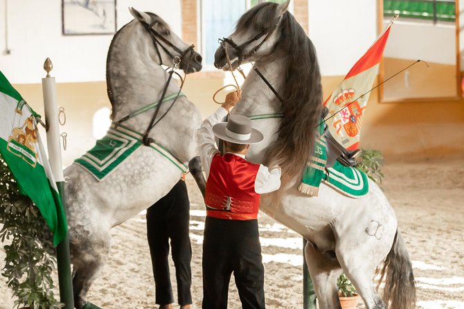 Horse and Flamenco Show in Malaga with Dinner - Inside Club Hípico El Ranchito: stable access and the Ritmo a Caballo show