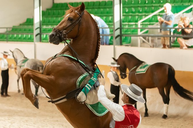 Horse and Flamenco Show in Malaga - Inside the show: 20 horses, discipline, and the Spanish styling