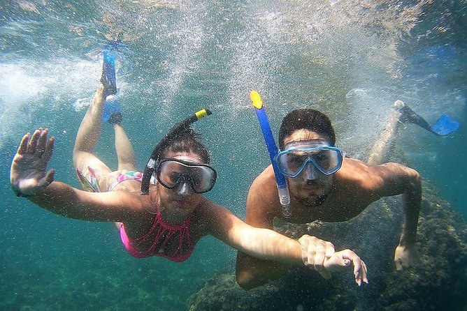 Kayak & Snorkel Tour in Cerro Gordo Natural Park, La Herradura - Safety briefing, life jackets, and disinfected snorkeling gear