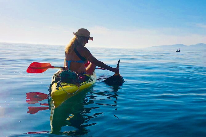 Kayak & Snorkel Tour in Cerro Gordo Natural Park, La Herradura - Paddling the sea-only cliffs of Maro and Cerro Gordo coves