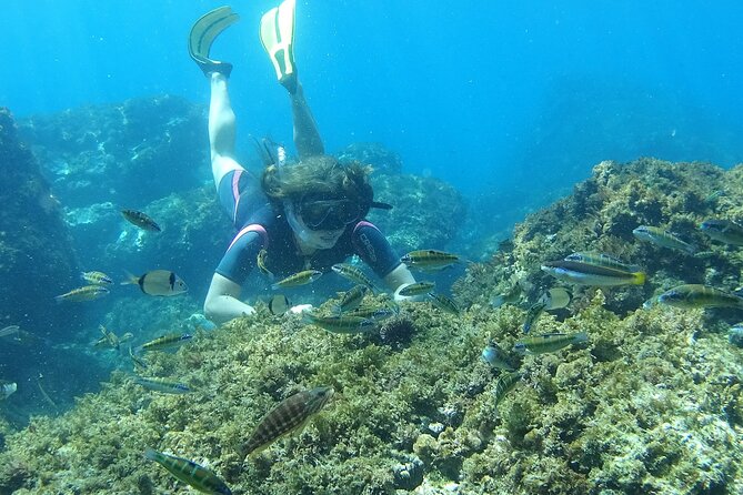 Kayak & Snorkel Tour in Cerro Gordo Natural Park, La Herradura - How long you’ll be on the water (and why 2.5 hours works)