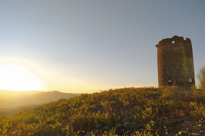 La Axarquia White Villages & Buddhist Stupa - SemiPrivate - How the Axarquía day trip runs from Málaga