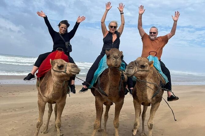 Luxury Tangier Private Day Tour from Malaga All inclusive - Tangier in One Day: What You’re Really Buying