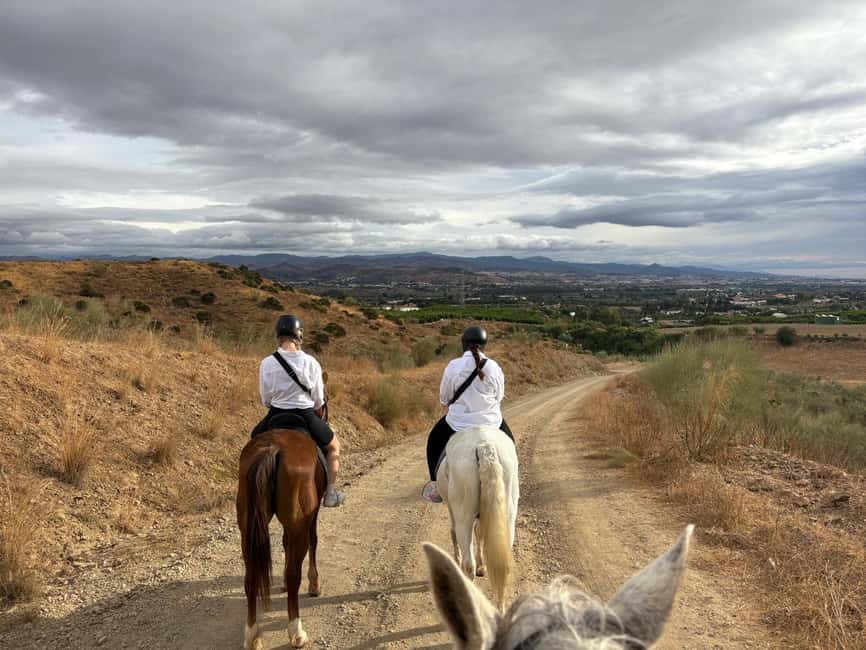 Malaga – 1-hour Horseback Riding Tour with a Local Guide through the Guadalhorce Valley - The quiet 45 minutes: olive groves, river air, and Malaga views