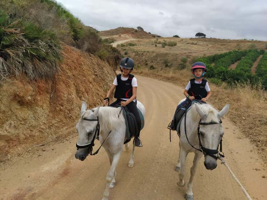 Malaga – 1-hour Horseback Riding Tour with a Local Guide through the Guadalhorce Valley - El Roble Equestrian Club: getting there and what the start feels like