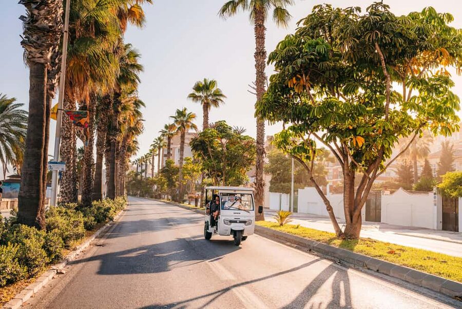 Málaga: 1-hour Private Tuk Tuk Tour - Price and value: is $29 for a private TukTuk fair?