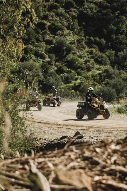 Malaga: 3 hours Off-Road Tour by 2-Seater Quad in Mijas - Wildlife spotting: horses, donkeys, and birds of prey
