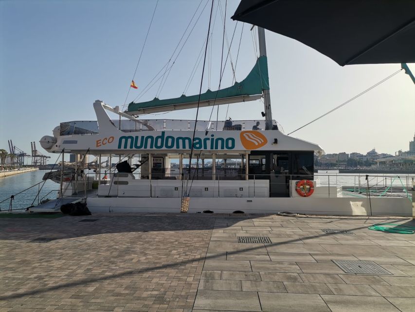 Malaga: A Sea of Stars Nighttime Stargazing Catamaran Tour - Stargazing From the Water: How the Constellations Part Works