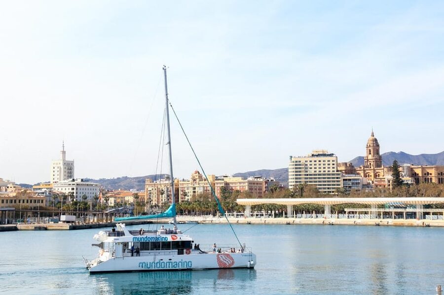 Malaga: A Sea of Stars Nighttime Stargazing Catamaran Tour - Should You Book the Malaga Sea of Stars Stargazing Catamaran?