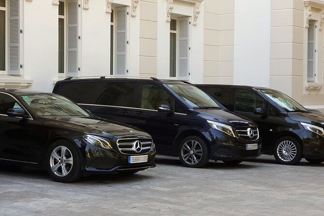 Malaga Airport (Costa del Sol) Private Arrival Transfer - Key points at a glance