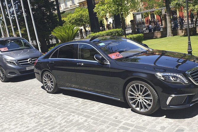 Malaga Airport (Costa del Sol) Private Arrival Transfer - The main downside: what can go wrong and how to reduce the risk