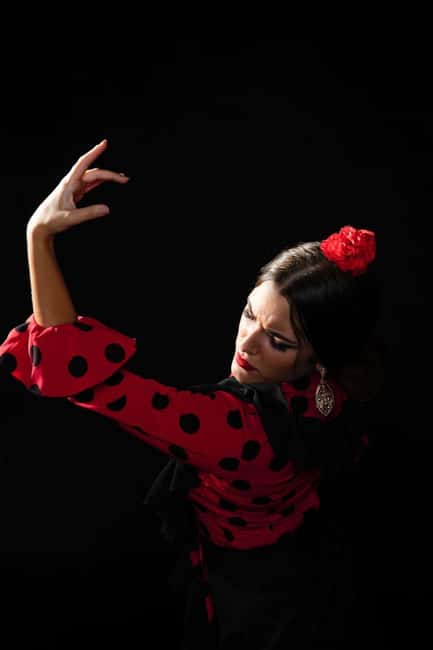 Malaga: Authentic Flamenco Dinner Show at Restaurant VinoMio - Key highlights at a glance