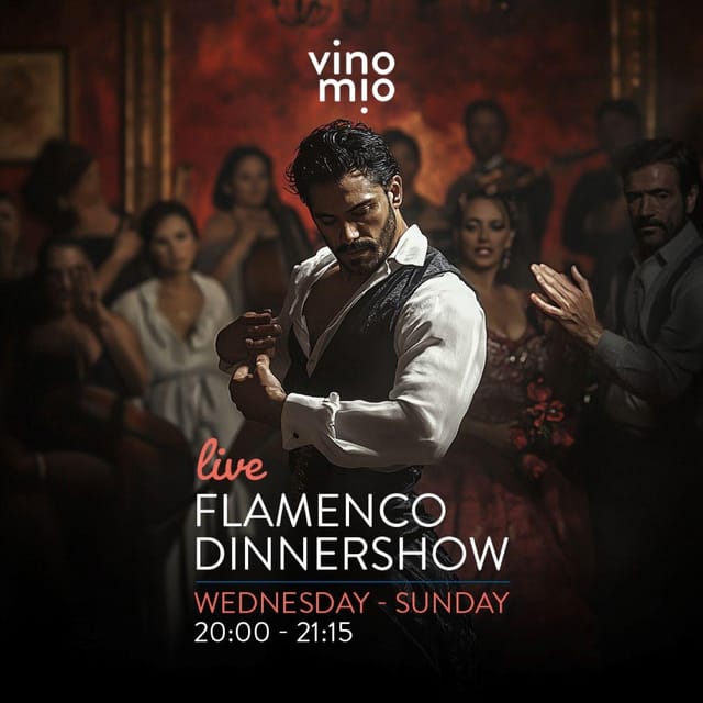 Malaga: Authentic Flamenco Dinner Show at Restaurant VinoMio - Timing That Keeps You From Missing Anything