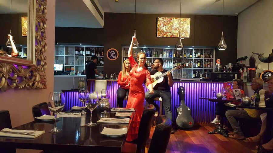 Malaga: Authentic Flamenco Dinner Show at Restaurant VinoMio - Getting In: Meet at the Restaurant Entrance