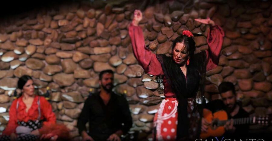 Malaga: Authentic Flamenco Show at El Gallo Ronco - The one-hour flamenco show: what happens on stage