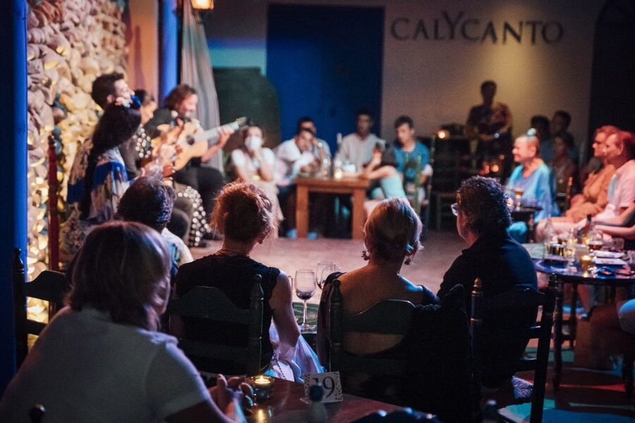 Malaga: Authentic Flamenco Show at El Gallo Ronco - Who this flamenco show suits best