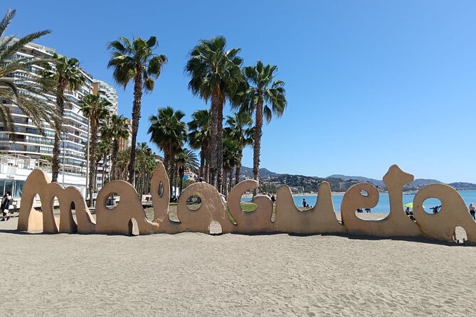 Malaga Bike Tour - Wine & Tapas - Picasso Museum Stop: Art You Can Tie to the Streets