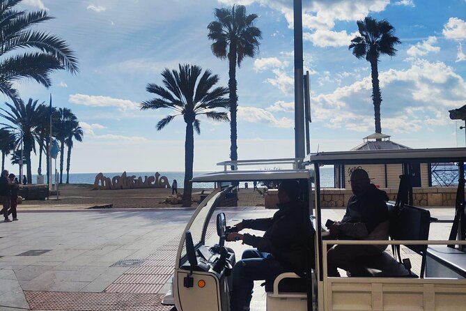 Malaga by Tuk Tuk i : 1 or 2 hours Private city tour - Malaga City Council: Where the Tour Points You Toward Local Power