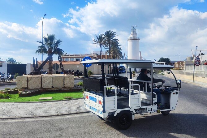 Malaga by Tuk Tuk i : 1 or 2 hours Private city tour - The Guides: Antonio and Miguel Are the Names to Remember
