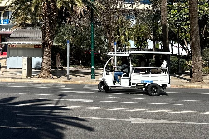 Malaga by Tuk Tuk i : 1 or 2 hours Private city tour - Malagueta Beach: Urban Sand, Port Energy, and a Quick Break