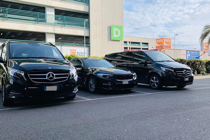 Malaga Cruise Port to Malaga Hotels - Arrival Private Transfer - Key Highlights That Matter in Real Life