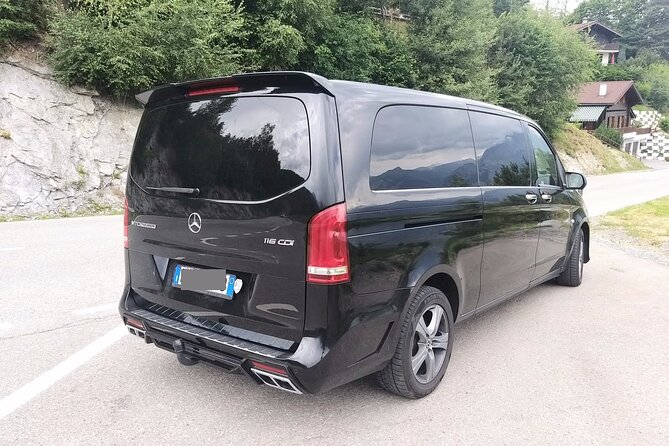 Malaga Cruise Port to Malaga Hotels - Arrival Private Transfer - Group Size and Vehicle Choice: Up to 15 Passengers (No One Left Behind)