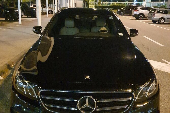 Malaga Cruise Port to Malaga Hotels - Arrival Private Transfer - Who This Málaga Transfer Fits Best