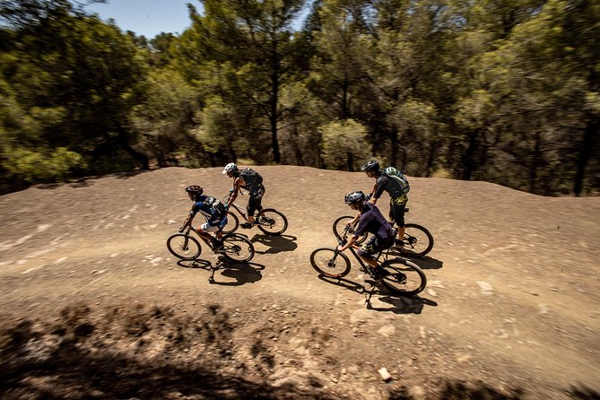 Malaga E-MTB Tour: Botanical Garden, Natural Park and Port of Malaga - Why an e-MTB tour beats a walking loop in Malaga