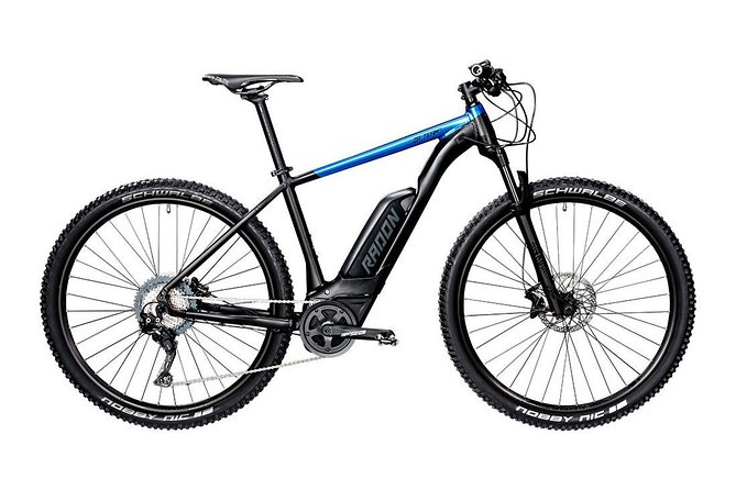 Malaga E-MTB Tour: Botanical Garden, Natural Park and Port of Malaga - Price and logistics: does $78.09 feel fair?