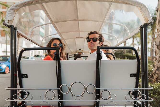 Malaga Expert Tour with Local Guide in Eco Tuk Tuk Private - The Port of Malaga and cruise energy by the water