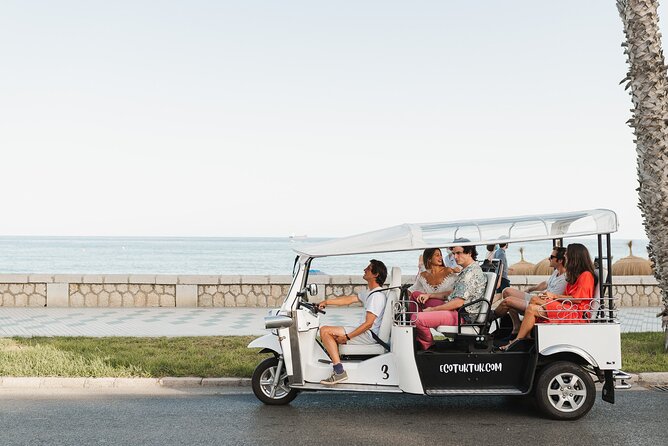 Malaga Express Tour with Local Guide in Eco Tuk Tuk Private - UMA, Bank of Spain, and the town hall: why modern stops matter