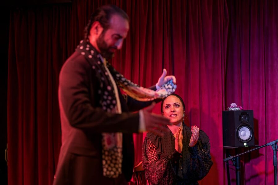 Málaga: Flamenco Course 4pm + 1-Hour Show, 3 Tapas and Drink - Should you book this Málaga Flamenco workshop plus show?