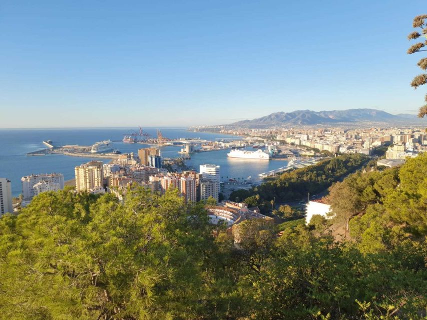 Malaga: Guided E-Bike Tour - Price and value: why $40 for 2 hours can be a smart move