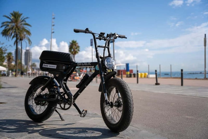 Malaga: Guided E-Fatbike Tour with Panoramic Views - Key highlights worth your attention