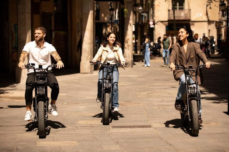 Malaga: Guided E-Fatbike Tour with Panoramic Views - Why an e-fatbike works so well for Málaga’s viewpoints