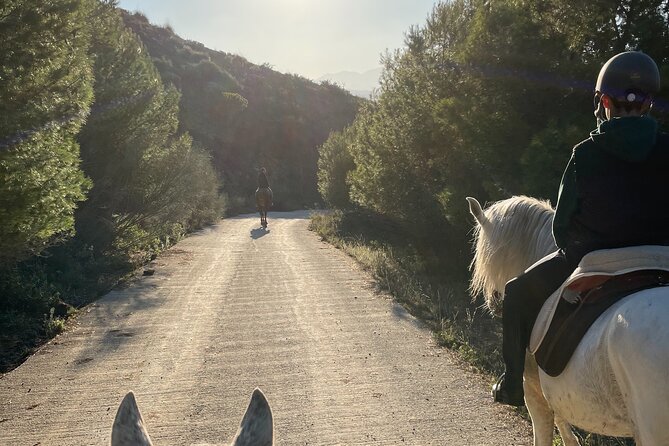 Malaga - guided horseback riding - Key things to know before you go