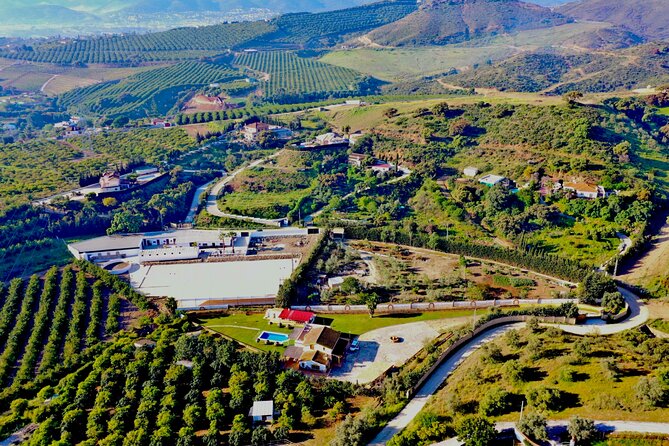 Malaga - guided horseback riding - The one-hour route: Cañuelo stream, zip-line views, and la vega over Malaga